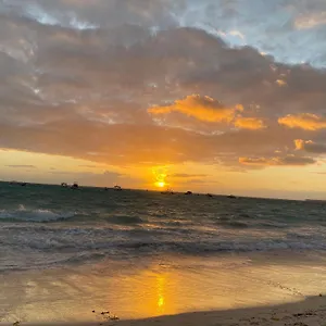 https://las-rosas-de-punta-cana.comcaribbean.com